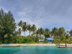 Warga Singkil Gelar Kenduri Akbar Syukuran Pengembalian Empat Pulau, Mualem Turut Diundang