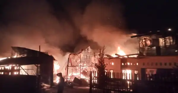 Api Hanguskan Panglong Kayu