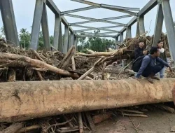 Puluhan Ton Balok Limbah Banjir Tersangkut di Jembatan Awe Geutah Paya Bireuen