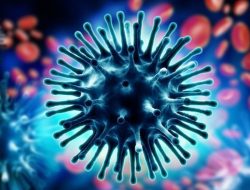 Penyebaran Virus Flu Ancam Aktivitas