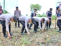 Penemuan Kerangka Manusia di Batang Anai