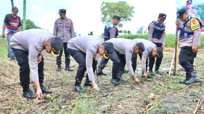 Penemuan Kerangka Manusia