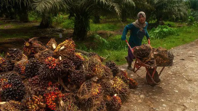 Hasil Korupsi Dikorupsi