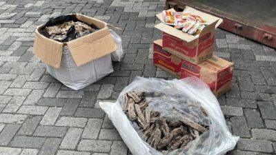 Gagalnya Penyelundupan