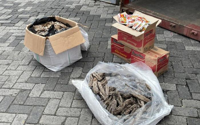 Gagalnya Penyelundupan