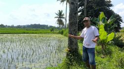 Petani Adukan Gagal Panen ke DPRD Jember Diduga Tercemar Limbah TPA